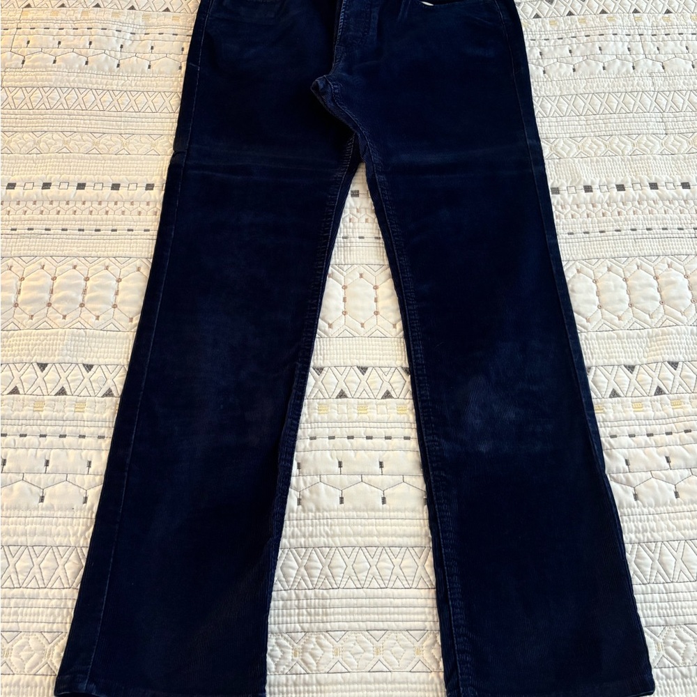 Express Blue Corduroy Pants Classic Fit (31x30)
